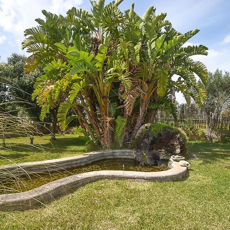 Pet Friendly In Marina Di Marza With Wifi * Santa Maria Del Focallo