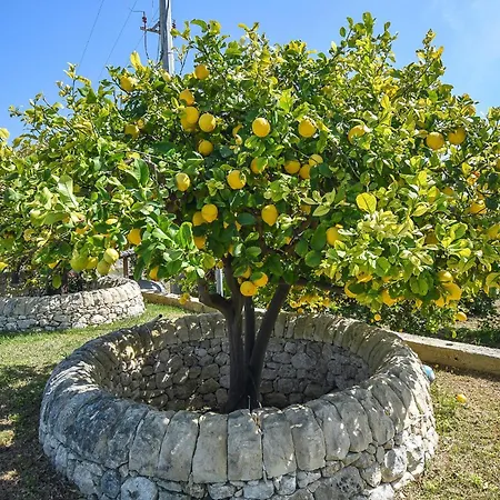 Pet Friendly In Marina Di Marza With Wifi Santa Maria Del Focallo